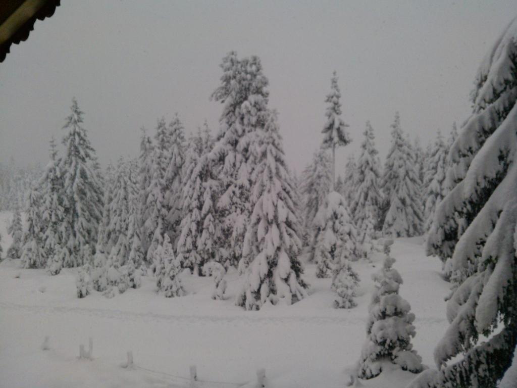 Ferienwohnungen Lemberger Krimml Exterior foto